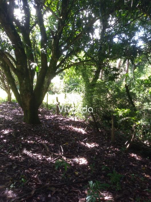 TERRENO à venda no BARRAGEM DO BENFICA: 