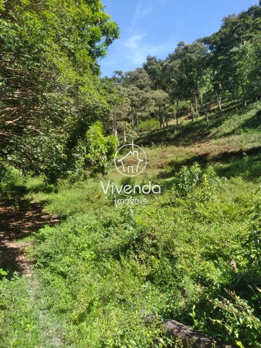 TERRENO à venda no BARRAGEM DO BENFICA: 