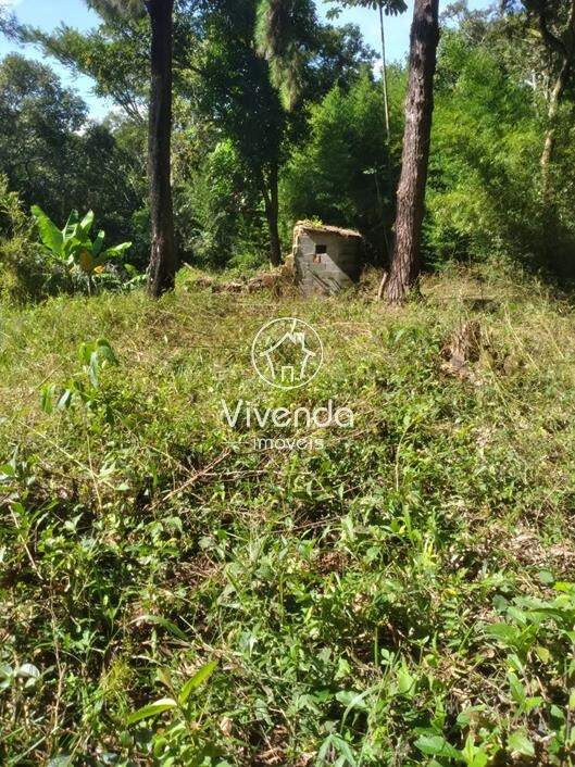 TERRENO à venda no BARRAGEM DO BENFICA: 