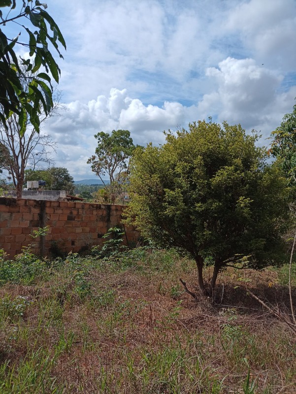 CHACARA à venda no VISTA ALEGRE (ZONA RURAL): 