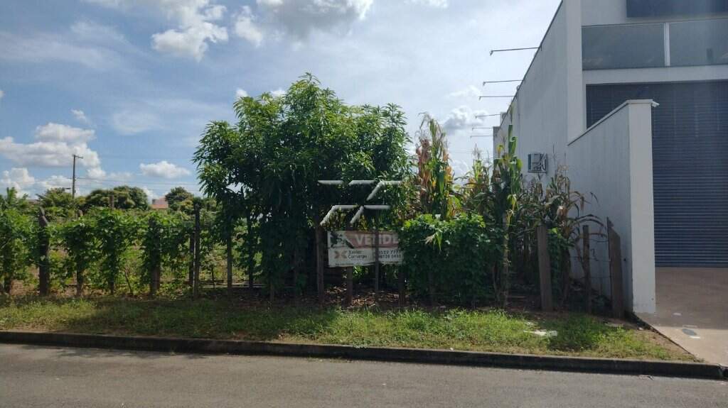 Terreno/Área à venda no Jardim dos Ipês: Terreno 12x25 em av. comercial