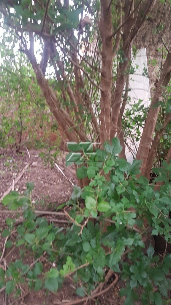 Casa à venda no Centro: Terreno (Vista II)