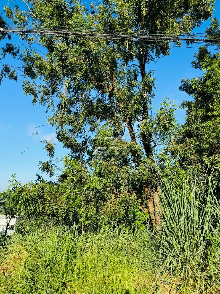 Terreno/Área à venda no Vila Anhanguera: Lote