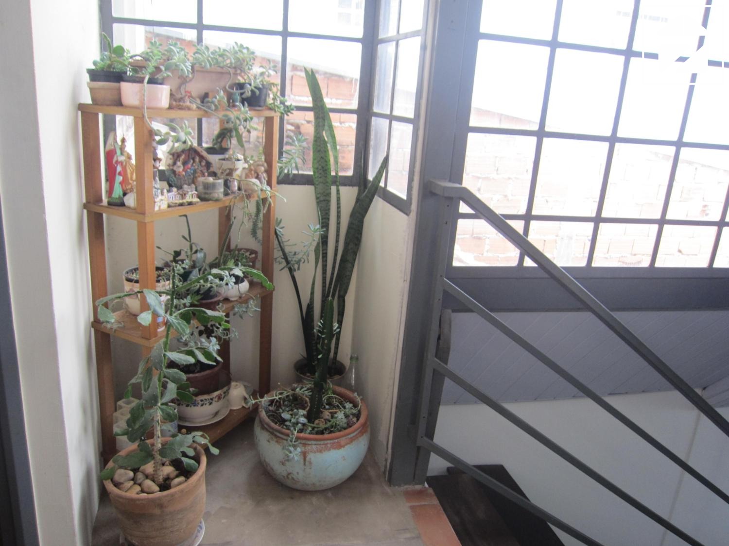 Casa em Jardim Santa Marcelina, Campinas - SP | Zelo Imóveis: 