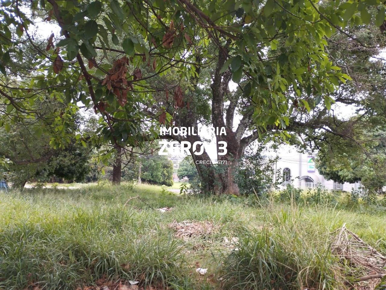 Terreno |  | | à venda | Conjunto Habitacional Maria Cecília Serrano de Oliveira | Londrina: 